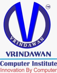 v computer institute
